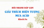 Nguyên nhân gây mưa Acid, giải thích hiện tượng mưa Acid (mới)? Hỏi đáp môn Hoá